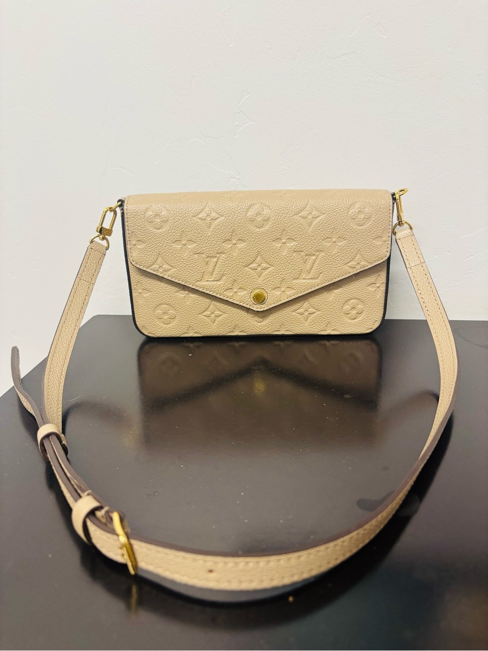 Louis Vuitton Pochette Félicie Turtledove - Picture 15 of 15